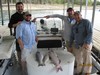 (04/15/2017) - Nice Striped Bass